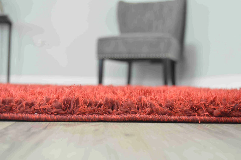 LUCIA SHAGGY Rug