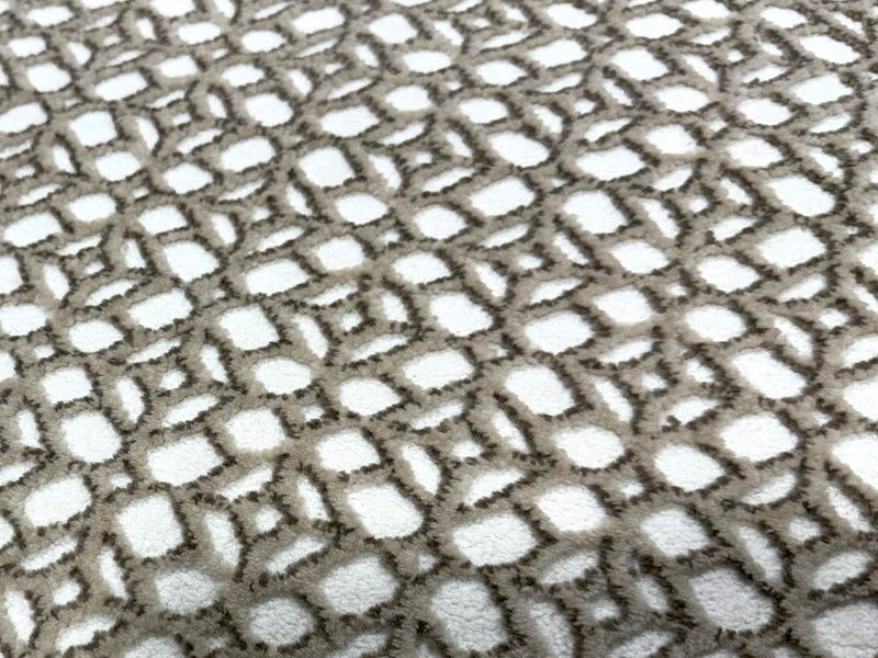 SIGNATURE Rug DESIGN 5204