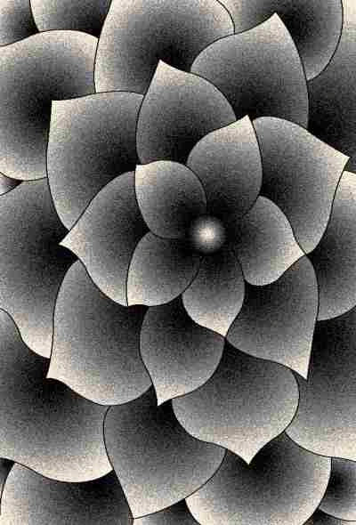 11301 Grey - Premium